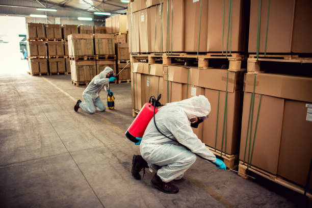 Best Cockroach Control Services  in Wesley Hills, NY