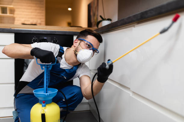 Reliable Wesley Hills, NY Pest Control Solutions