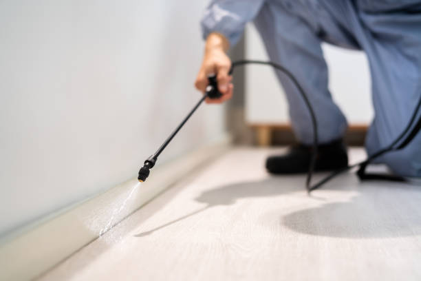 Best Pest Prevention Services  in Wesley Hills, NY