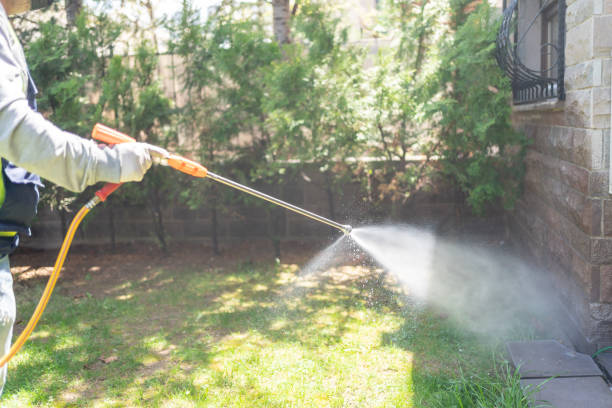 Best Rat Extermination Near Me  in Wesley Hills, NY