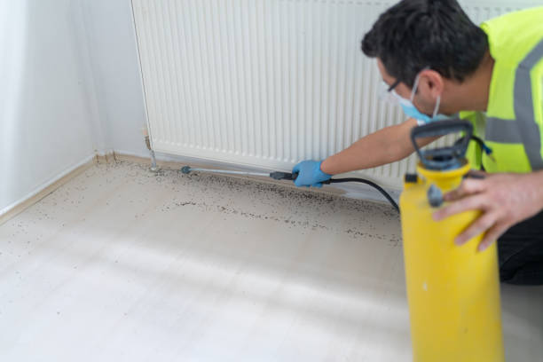 Best Ant Control Services  in Wesley Hills, NY