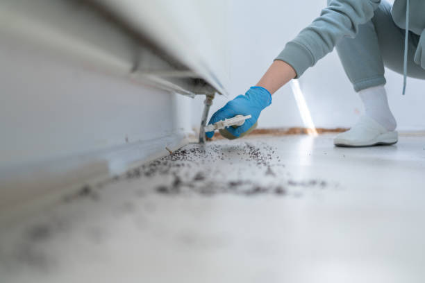 Best Emergency Pest Control  in Wesley Hills, NY